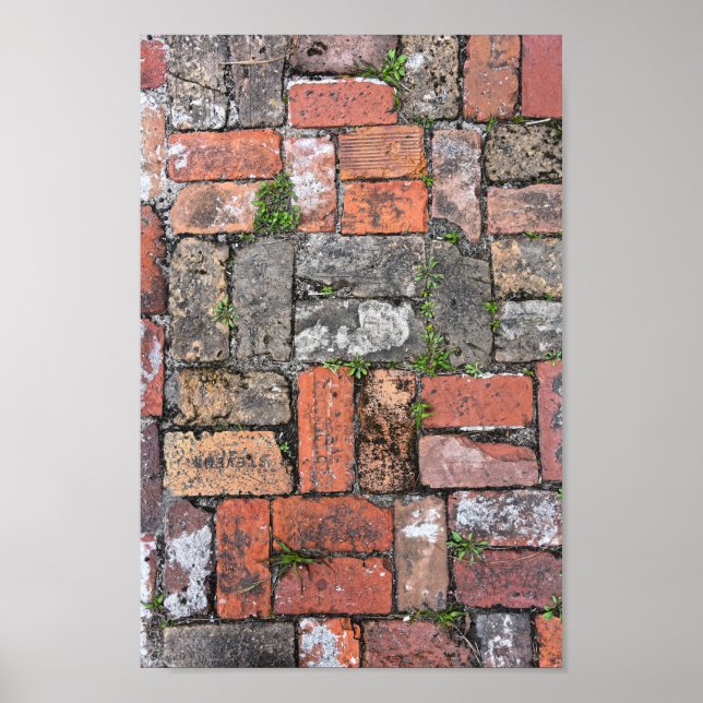 Brick Sidepromenad, Apalachicola, Florida Poster (Framsidan)