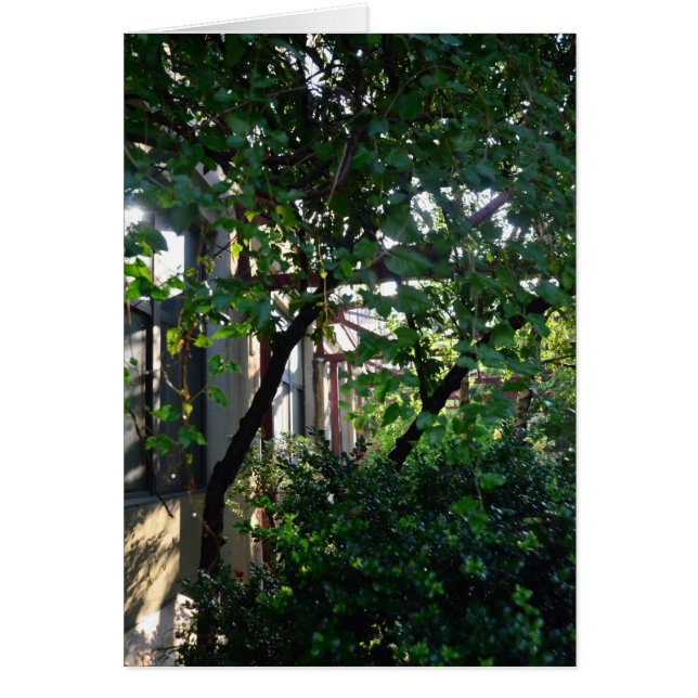 Brickbottom Couryard OBS Kort (Framsidan)