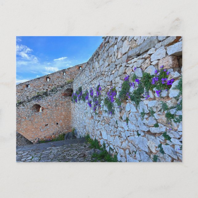 Brickmug med Lila blommor Nafplion Grekland Vykort (Framsida)