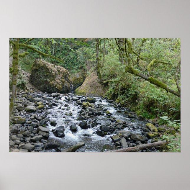 Bridal Veil Falls Trail, Oregon Poster (Framsidan)