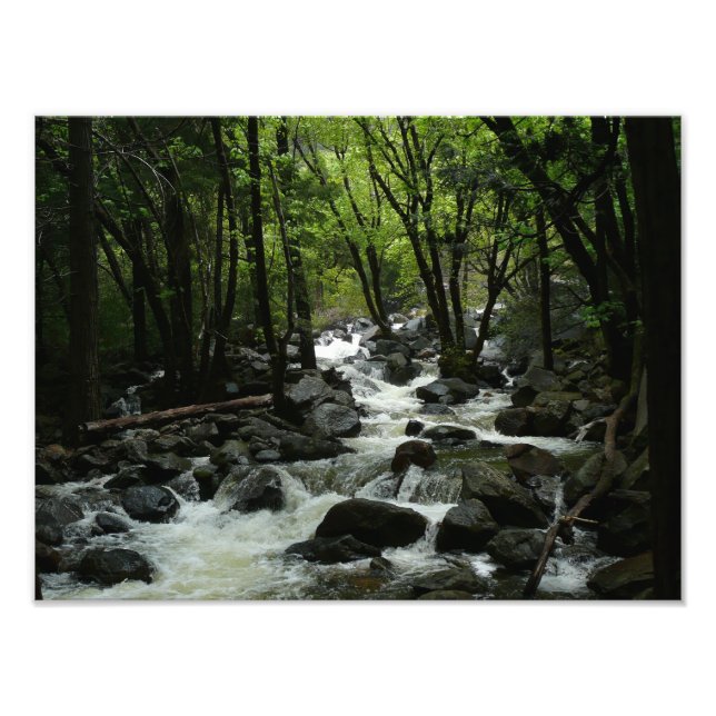 Bridalveil Bäck i Yosemite nationalpark Fototryck (Framsidan)