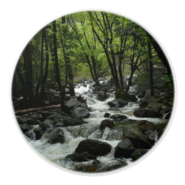 Bridalveil Bäck i Yosemite nationalpark Knopp (Framsidan)