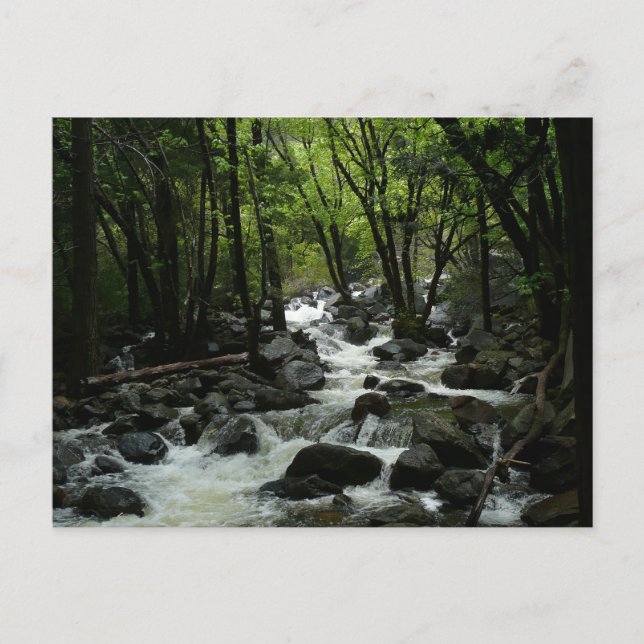 Bridalveil Bäck i Yosemite nationalpark Vykort (Framsida)