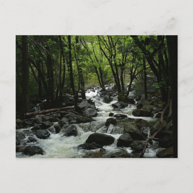 Bridalveil Bäck i Yosemite nationalpark Vykort (Framsida)