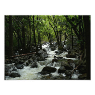 Bridalveil Creek i Yosemite National Park Fototryck