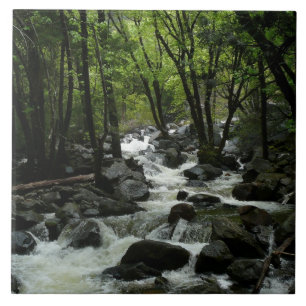 Bridalveil Creek i Yosemite National Park Kakelplatta