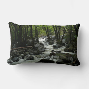 Bridalveil Creek i Yosemite National Park Lumbarkudde