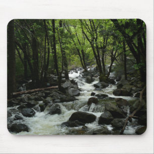 Bridalveil Creek i Yosemite National Park Musmatta