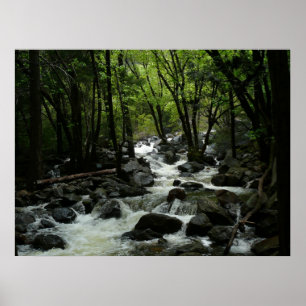 Bridalveil Creek i Yosemite National Park Poster