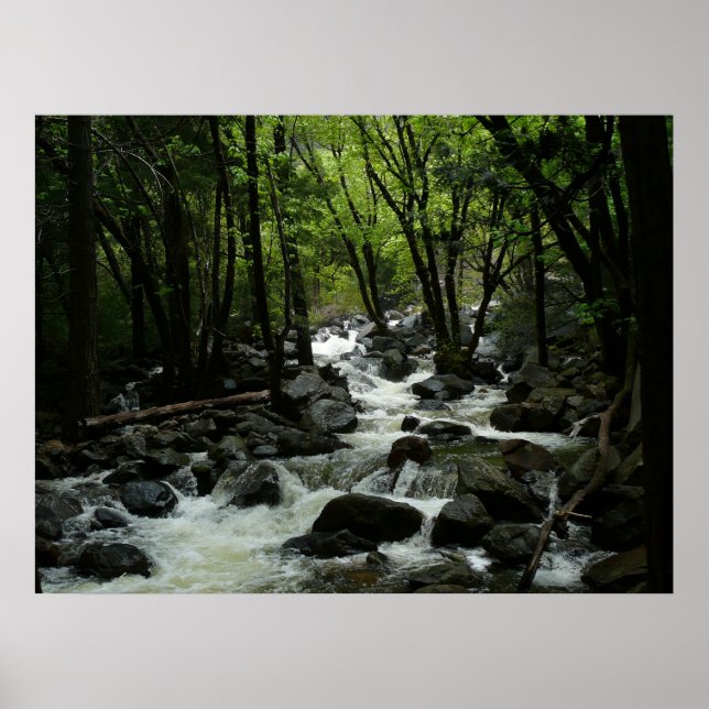 Bridalveil Creek i Yosemite National Park Poster (Framsidan)