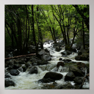 Bridalveil Creek i Yosemite National Park Poster