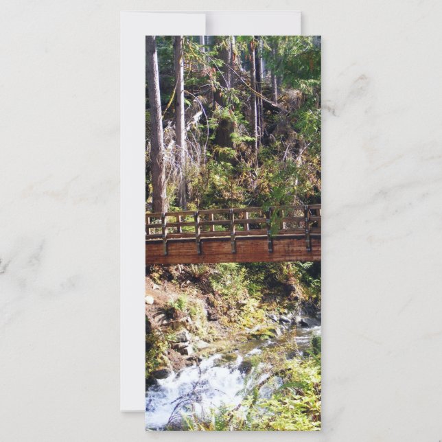 Bridge (Framsida)