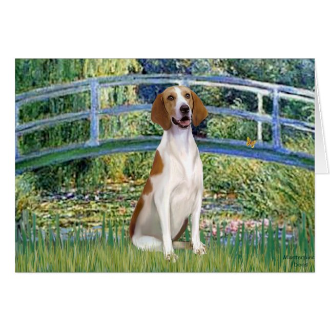 Bridge - American Foxhound Hälsningskort (Framsidan Horizontal)