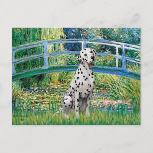 Bridge - Dalmatien Vykort