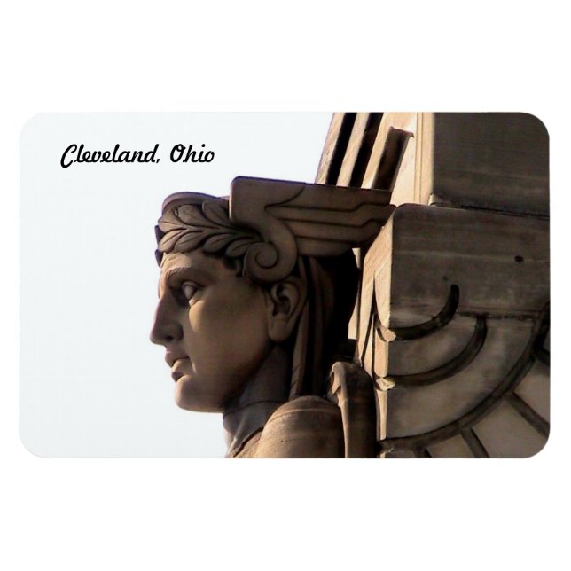 Bridge Guardian Premium Flexi Magnet (Horisontell)