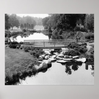 Bridge i CT-utskrift Poster