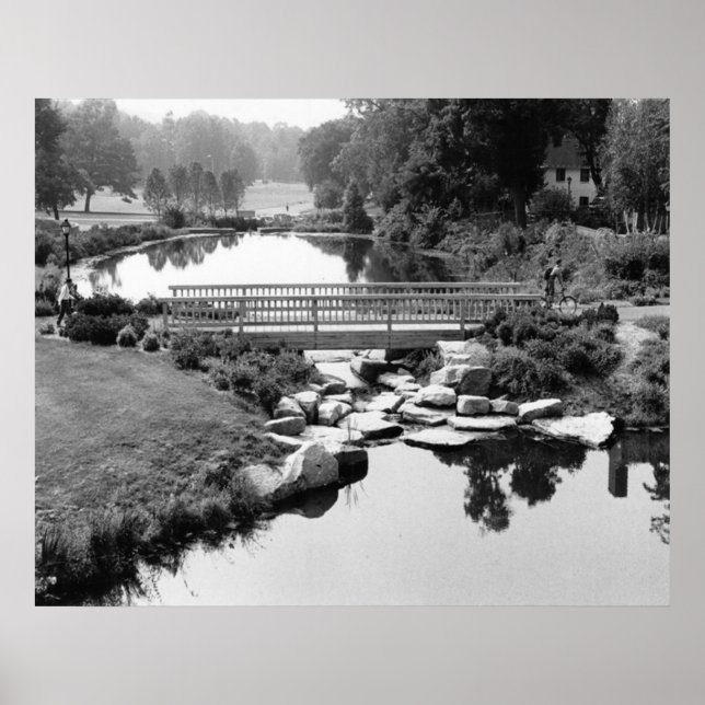 Bridge i CT-utskrift Poster (Framsidan)