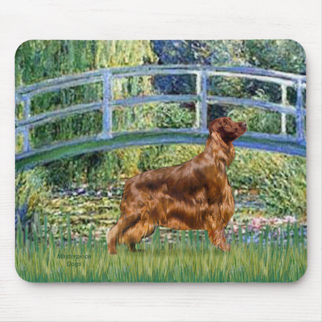 Bridge - Irish Setter 3 Musmatta (Framsidan)