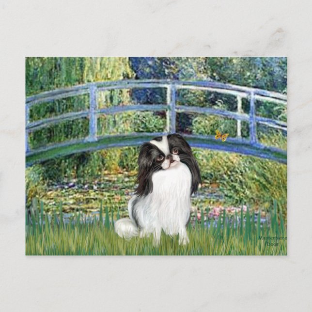 Bridge - Japanskt chin 2 Vykort (Framsida)