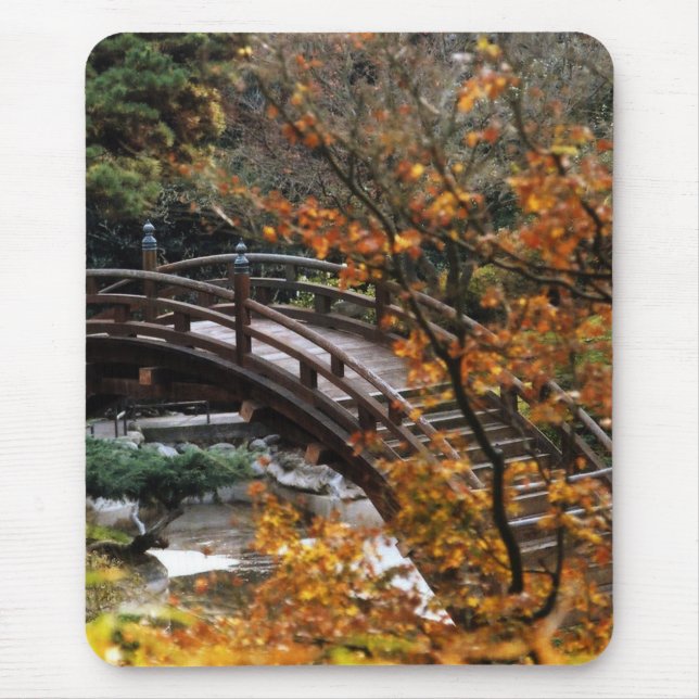Bridge Musmatta (Framsidan)