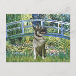 Bridge - norska Elkhound Vykort