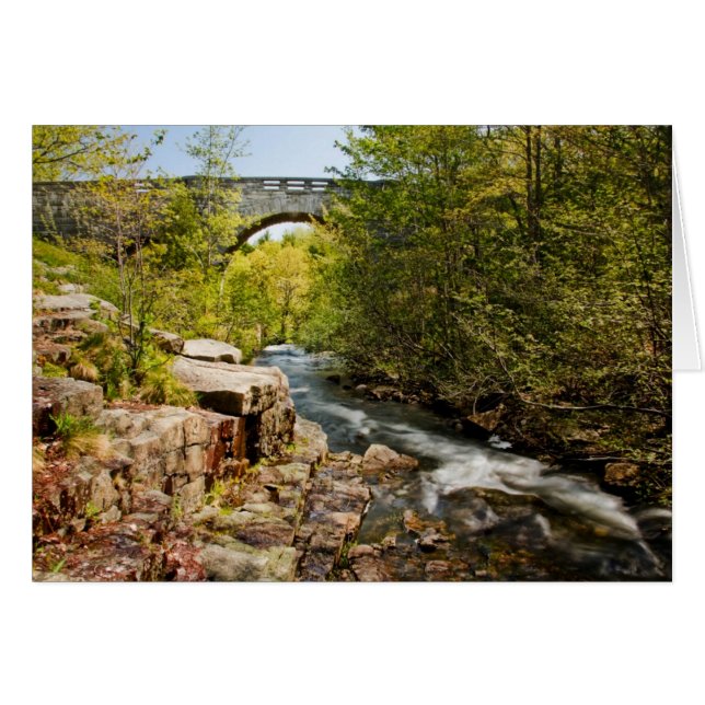 Bridge over River Hälsningskort (Framsidan Horizontal)