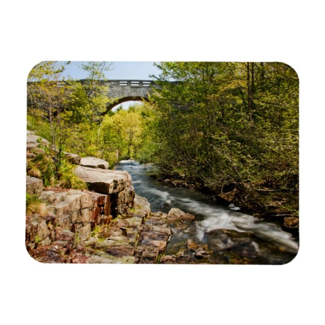 Bridge over River Magnet (Horisontell)