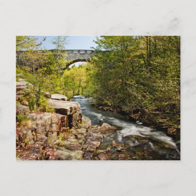 Bridge over River Vykort (Framsida)