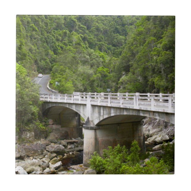 Bridge Over Stream, Tsitsikamma National Park Kakelplatta (Framsidan)