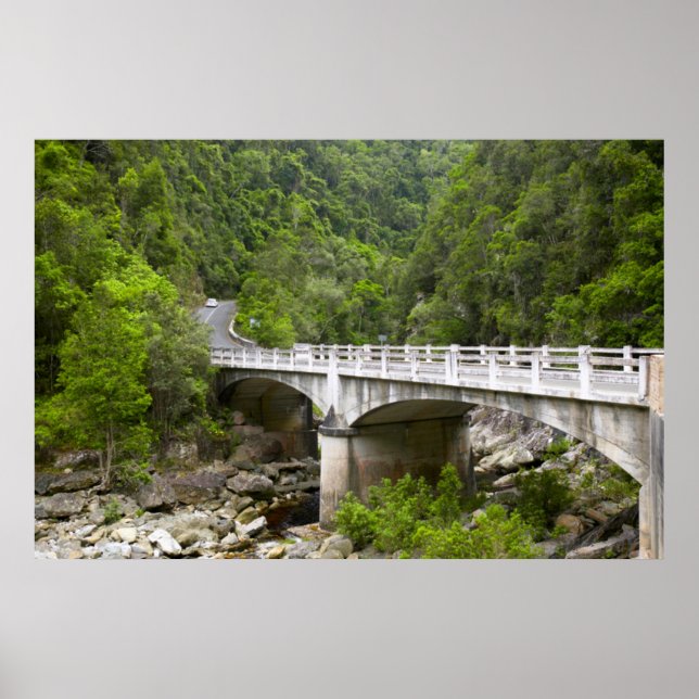 Bridge over Stream, Tsitsikamma National Park Poster (Framsidan)