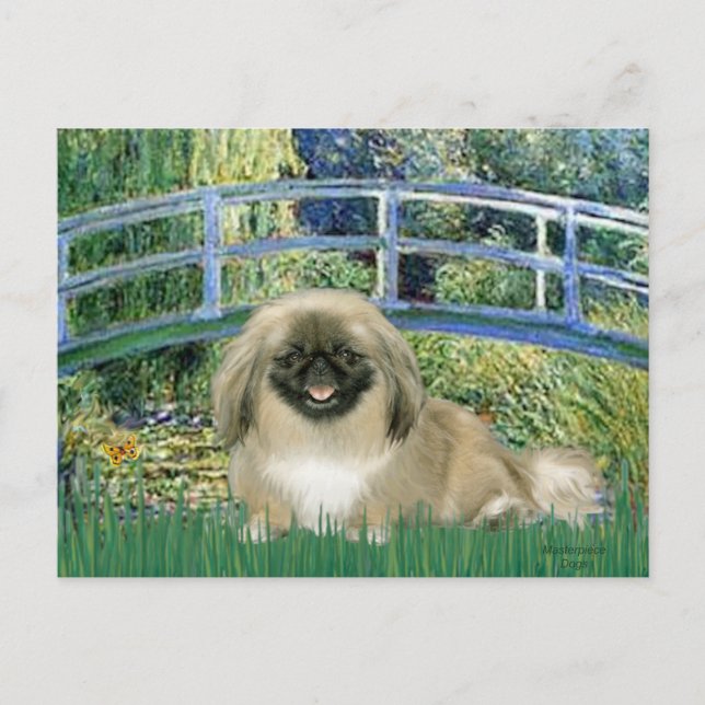 Bridge - Pekingese 1b Vykort (Framsida)