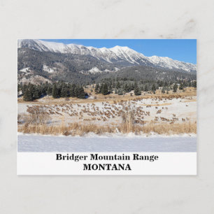 Bridger Mountain Range i Montana Postcard Vykort