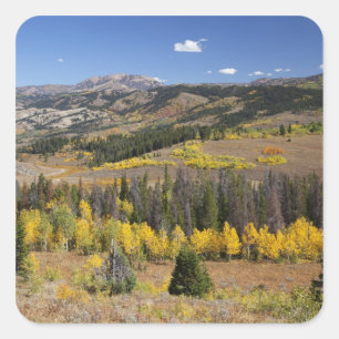 Bridger-Teton National Forest Fyrkantigt Klistermärke
