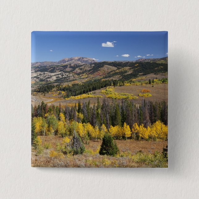 Bridger-Teton National Forest Knapp (Framsida)