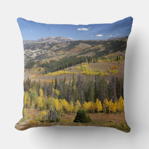 Bridger-Teton National Forest Kudde