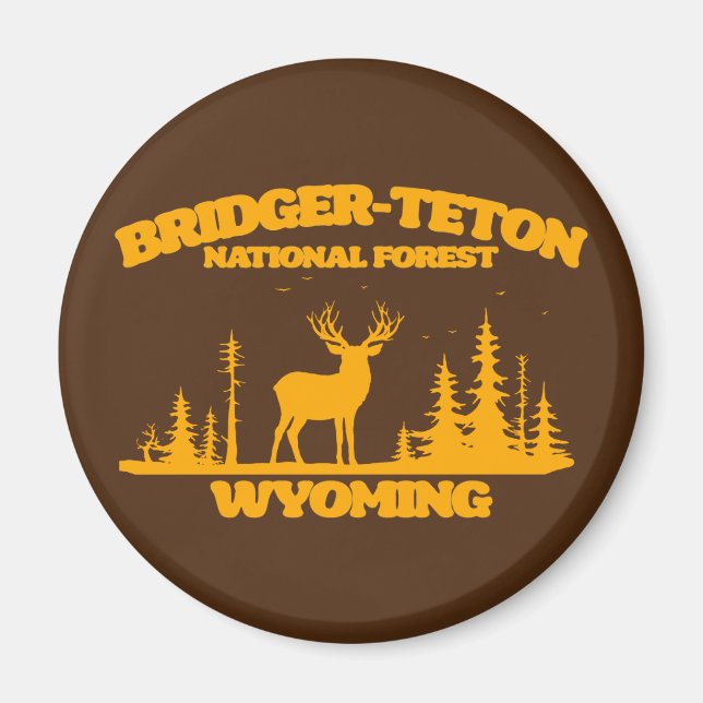 Bridger-Teton National Forest Magnet (Framsidan)