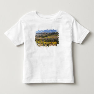 Bridger-Teton National Forest T-shirt