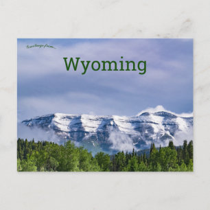 Bridger Teton National Forest Wyoming Vykort