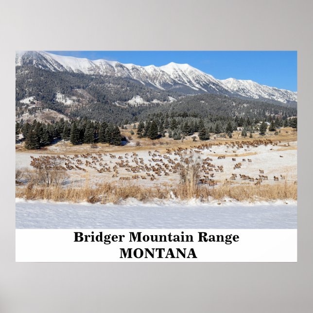 Bridgerbergszonen i Montana Poster (Framsidan)
