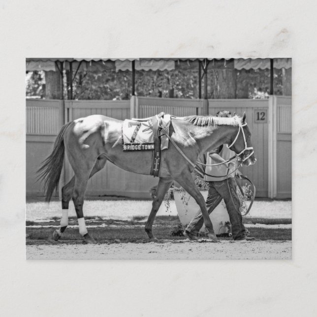 Bridgetown- Multi-Stakes vann Thoroughavlade Vykort (Framsida)