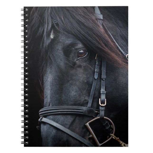 Bridled Black Stallion Ansikte Anteckningsbok Med Spiral (Framsidan)