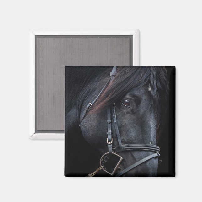 Bridled Black Stallion Ansikte Magnet (Front/Back)