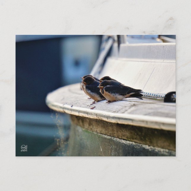 Briefkaart Vykort (Framsida)