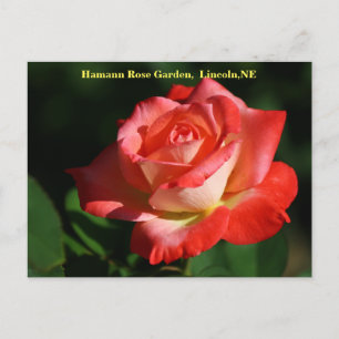 Brigadoon Ro Postcard HRG 400 2014 Vykort