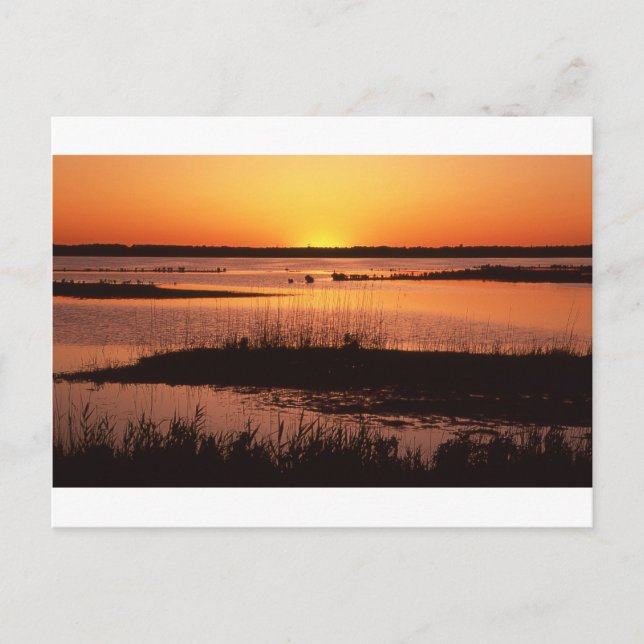 Brigantine NWR vid Sunset.jpg Vykort (Framsida)