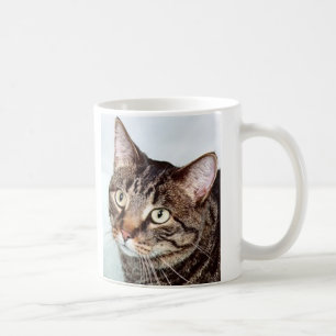 Briggs kattmugg kaffemugg