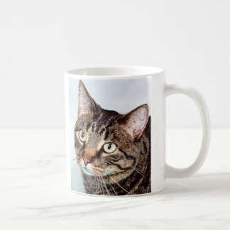Briggs kattmugg kaffemugg