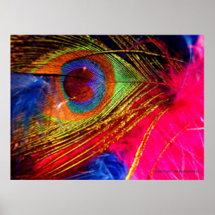 Brighly Vain Poster