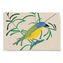 Bright African Bird Bush Shrike på Linen Canvas