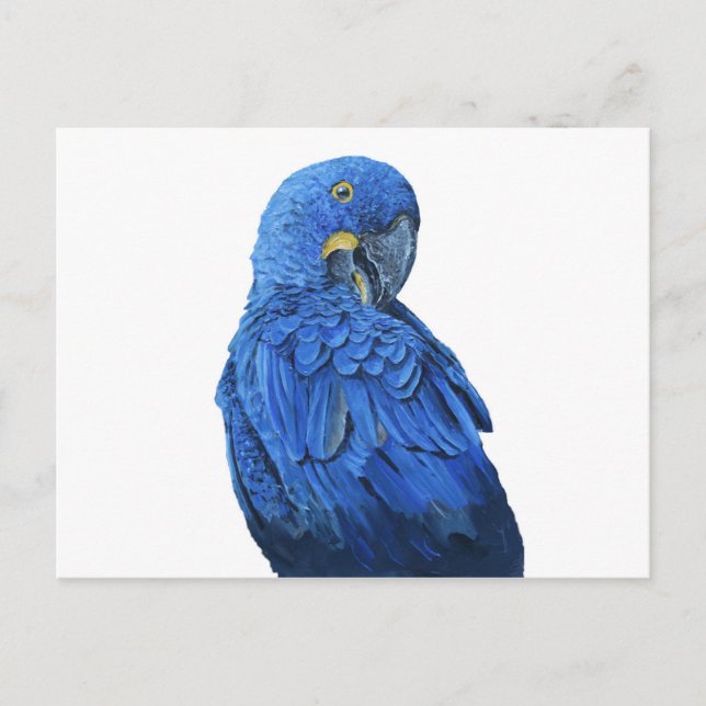 Bright blue Hyacint Macaw Vykort (Framsida)